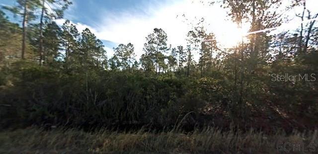 390 Millican Rd., Palatka, FL 32177