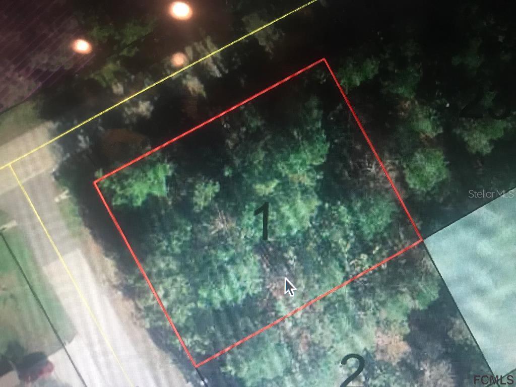 1 Pinelark Ln., Palm Coast, FL 32164