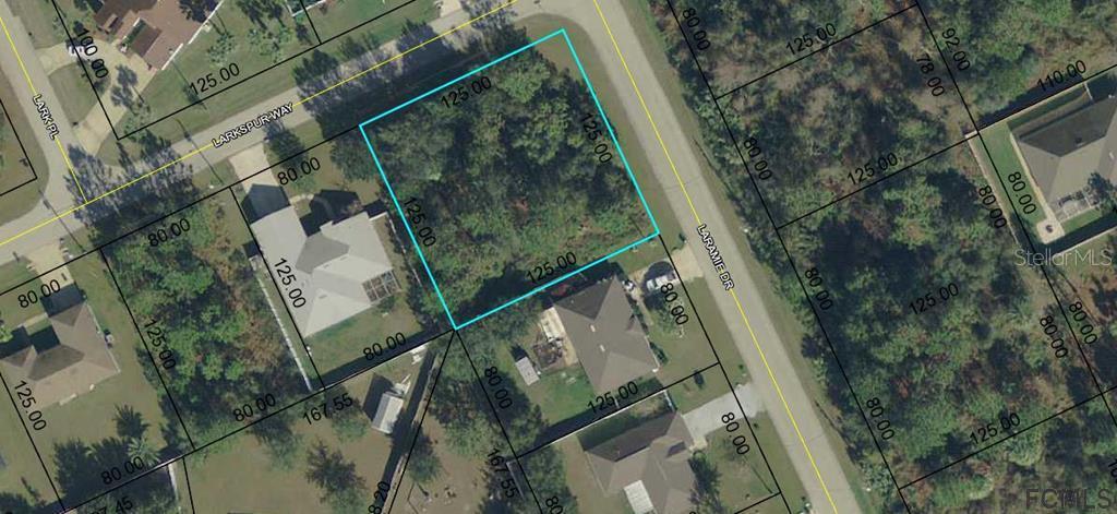 113 Laramie Dr., Palm Coast, FL 32137