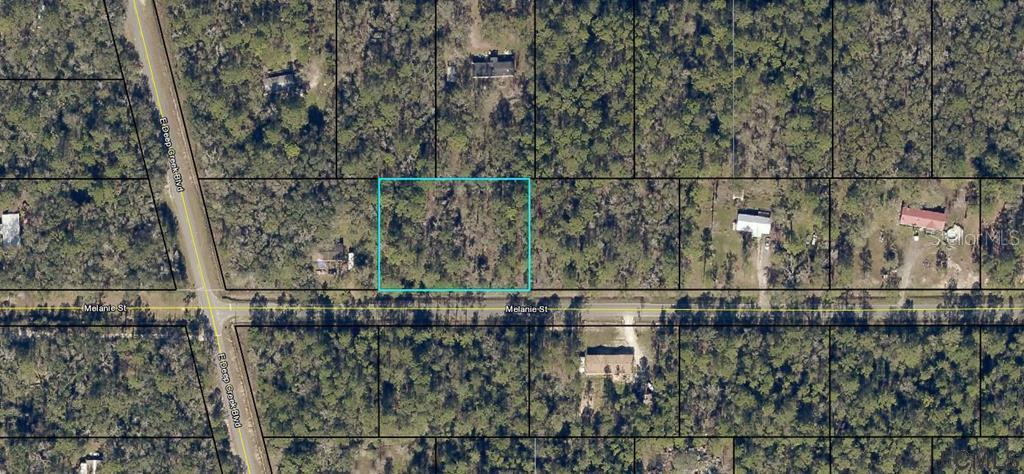 4740 Melanie St., Hastings, FL 32145