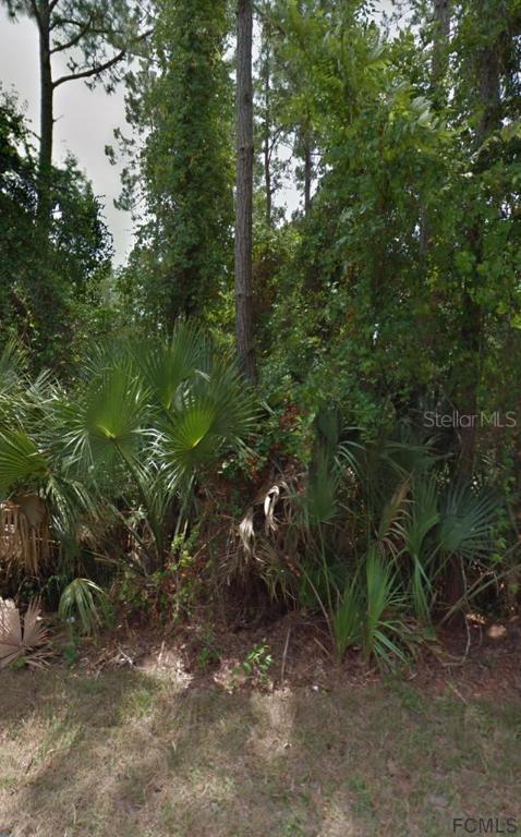 206 Frontier Dr., Palm Coast, FL 32137