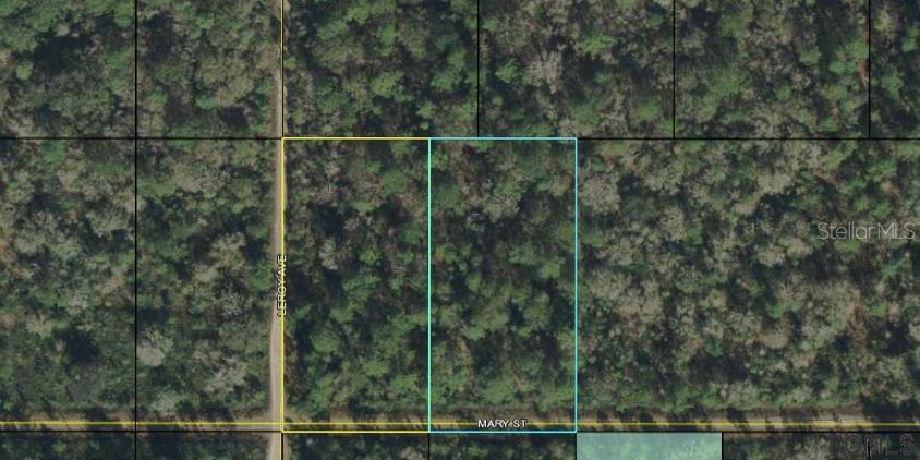 xxx Mary St., Bunnell, FL 32110