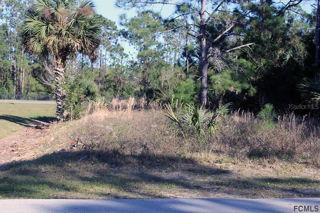 44 Whittington Dr., Palm Coast, FL 32164