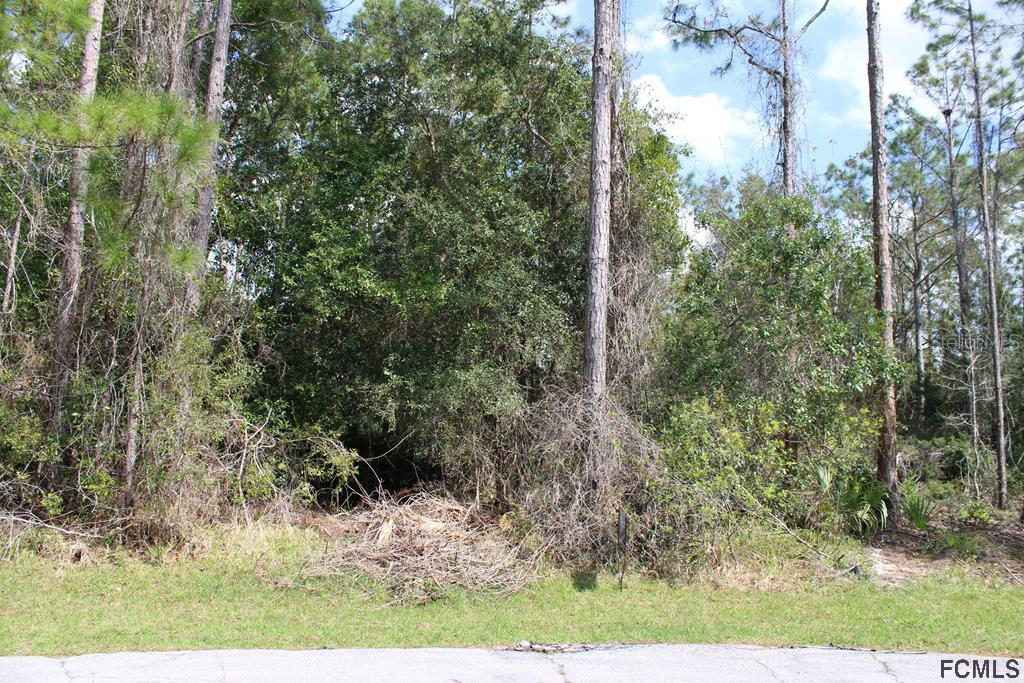 5 Kathryn Ct., Palm Coast, FL 32164