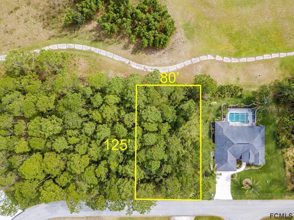 81 Lake Success Dr., Palm Coast, FL 32137