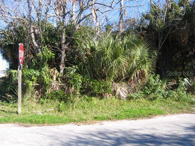 2501 Lakeshore Dr., Flagler Beach, FL 32136