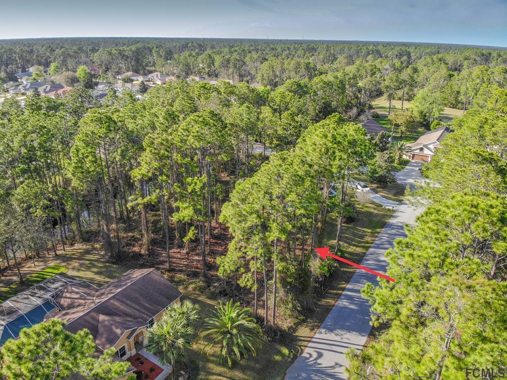 119 Evans Dr., Palm Coast, FL 32164