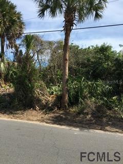 1831 Daytona Ave., Flagler Beach, FL 32136