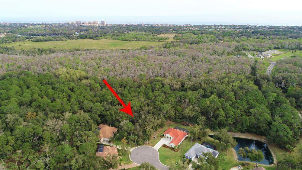 12 Laura Ct., Palm Coast, FL 32137