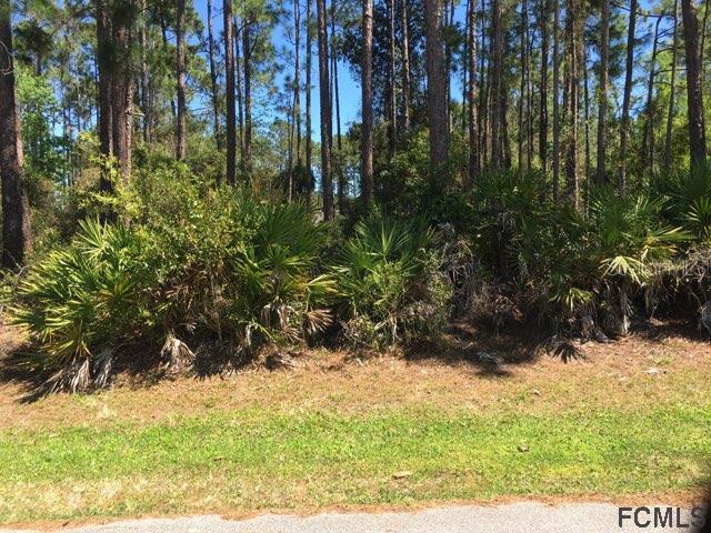 20 Lake Charles Ln., Palm Coast, FL 32137