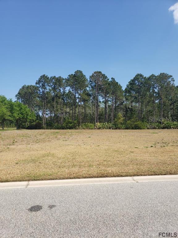 241 Conservatory Dr., Palm Coast, FL 32137