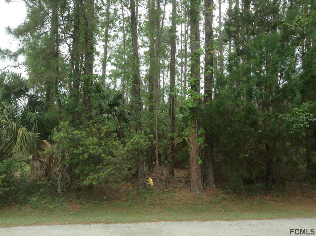 13 Riptide Pl., Palm Coast, FL 32164