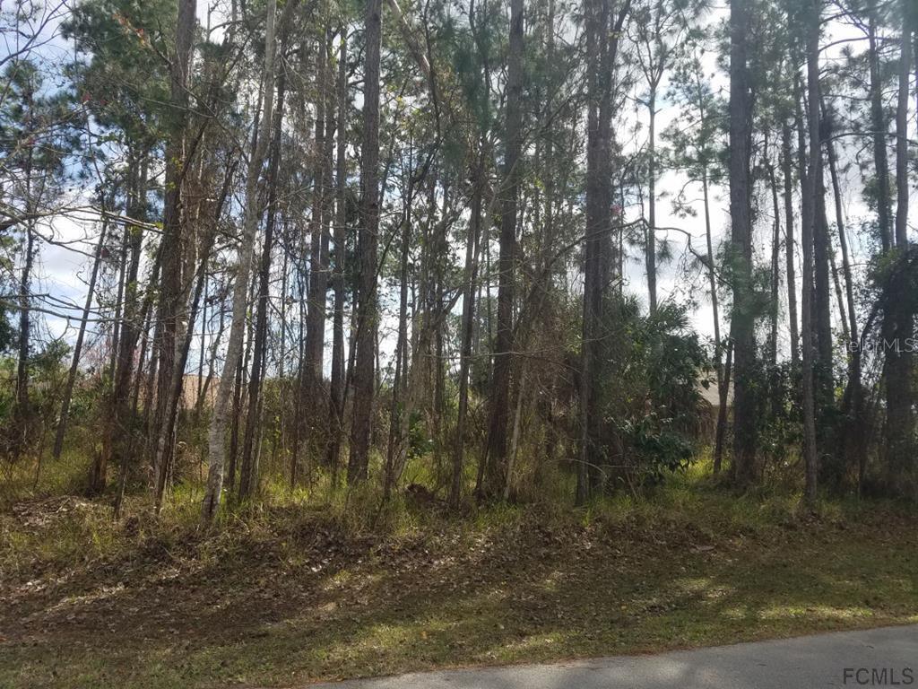 63 Egret Tr., Palm Coast, FL 32164