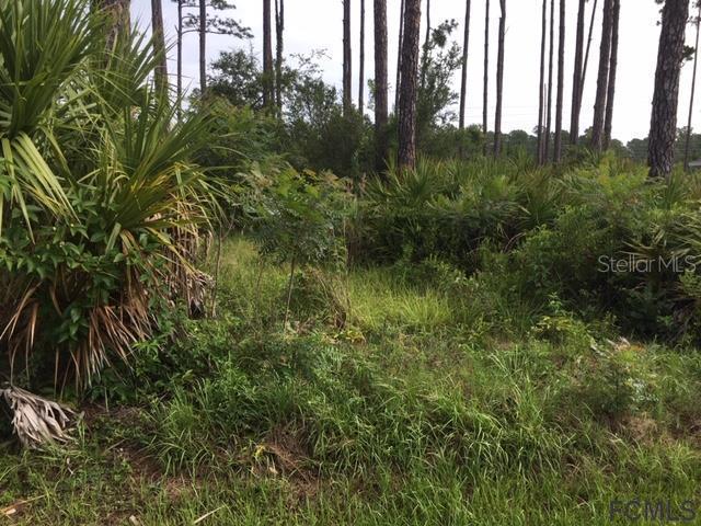 40 Esperanto Dr., Palm Coast, FL 32164