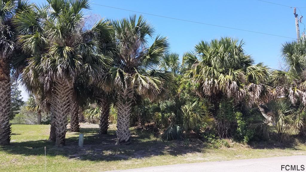 17 Cochise Ct., Palm Coast, FL 32137