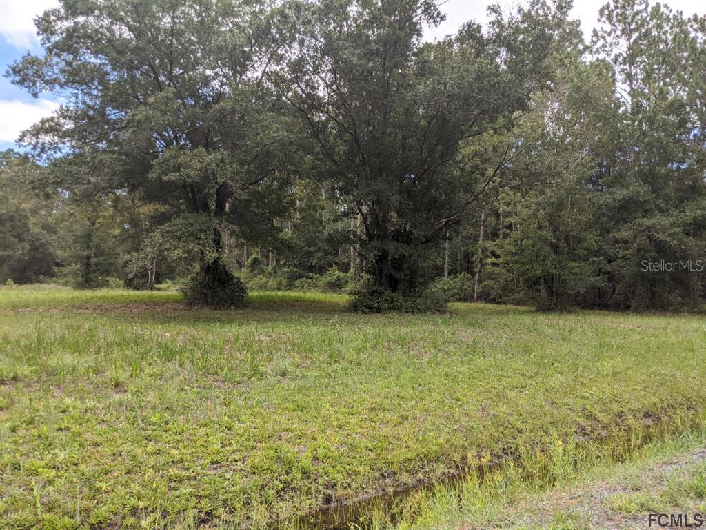 9870 Mcmahon Ave., Hastings, FL 32145