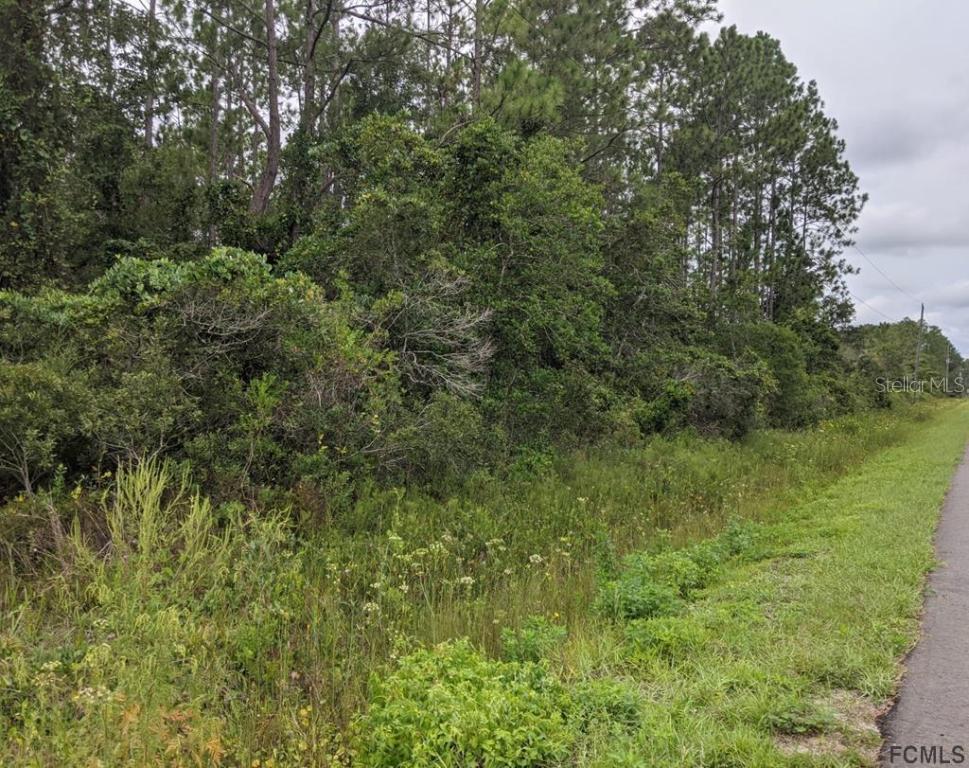 4405 Melanie St., Hastings, FL 32145