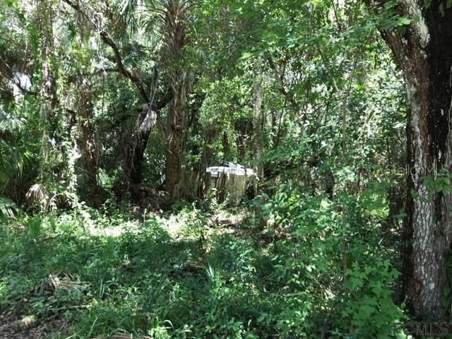 129 Hernandez Ave., Palm Coast, FL 32137
