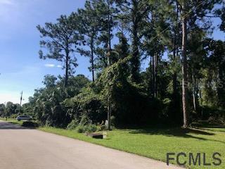 46 Fairbank Ln., Palm Coast, FL 32137