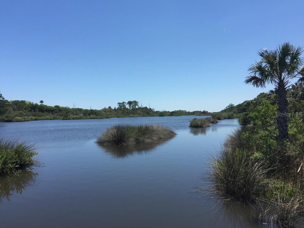 35 Bulow Woods Cir., Flagler Beach, FL 32136