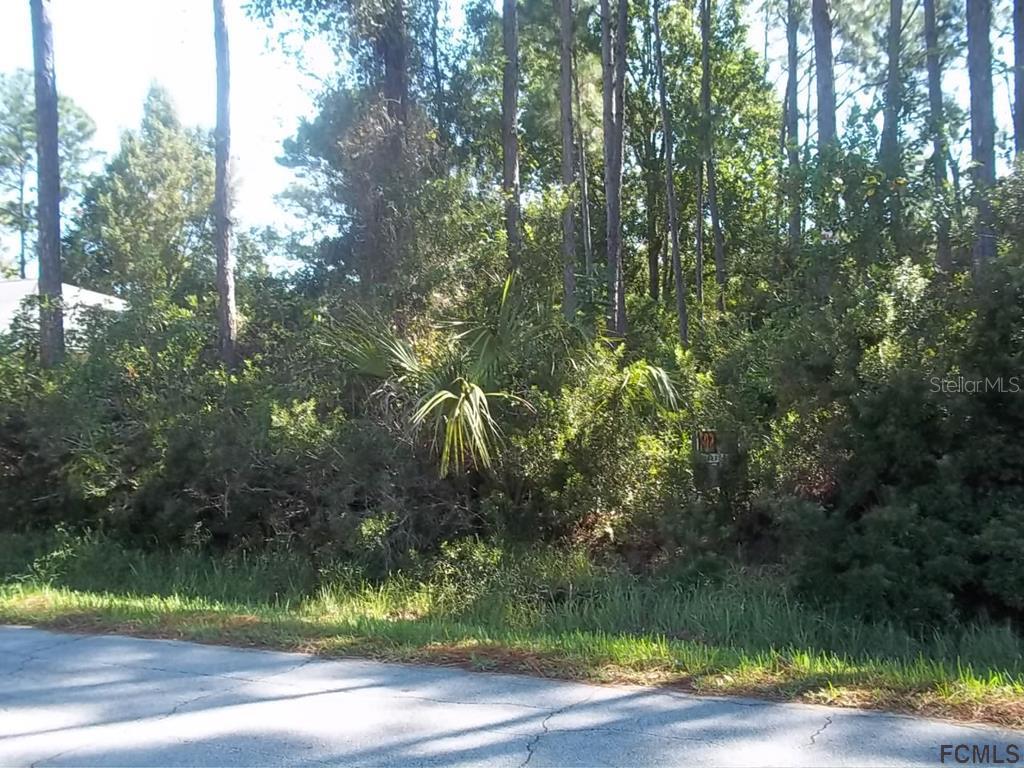 17 Potterville Ln., Palm Coast, FL 32164