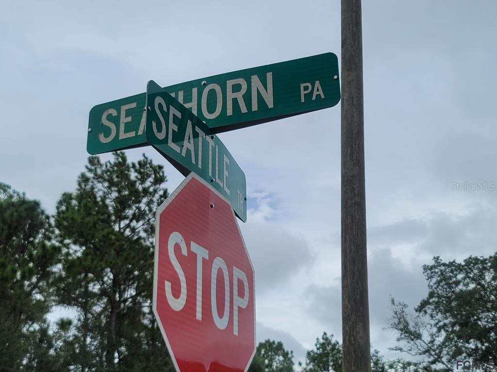 45 Seathorn Path, Palm Coast, FL 32164