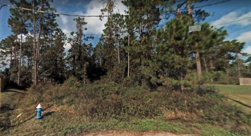 8 Llethorn Pl., Palm Coast, FL 32164