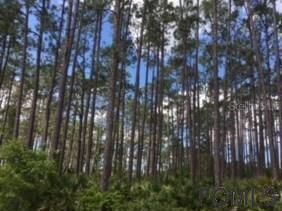 9 Empire Ln., Palm Coast, FL 32164