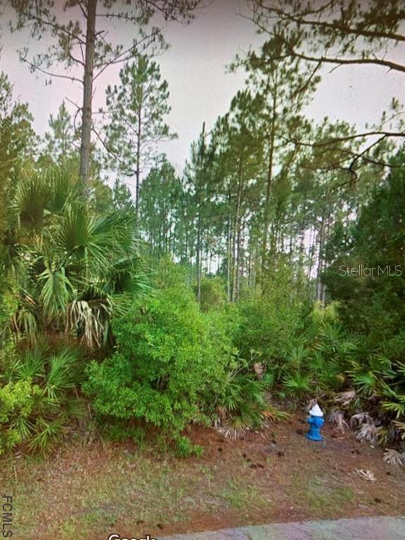 38 Ryapple Ln., Palm Coast, FL 32164