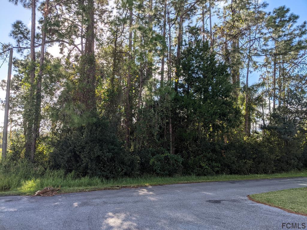 14 Ehrling Ln., Palm Coast, FL 32137