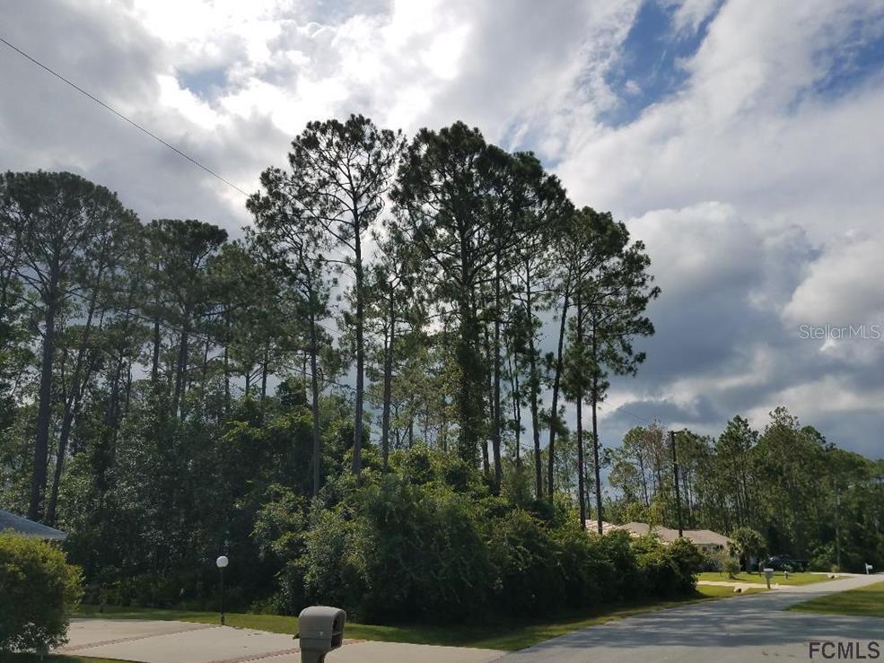 11 Zonal Ct., Palm Coast, FL 32164