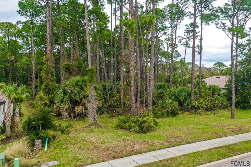 115 Emerald Lake Dr., Palm Coast, FL 32137