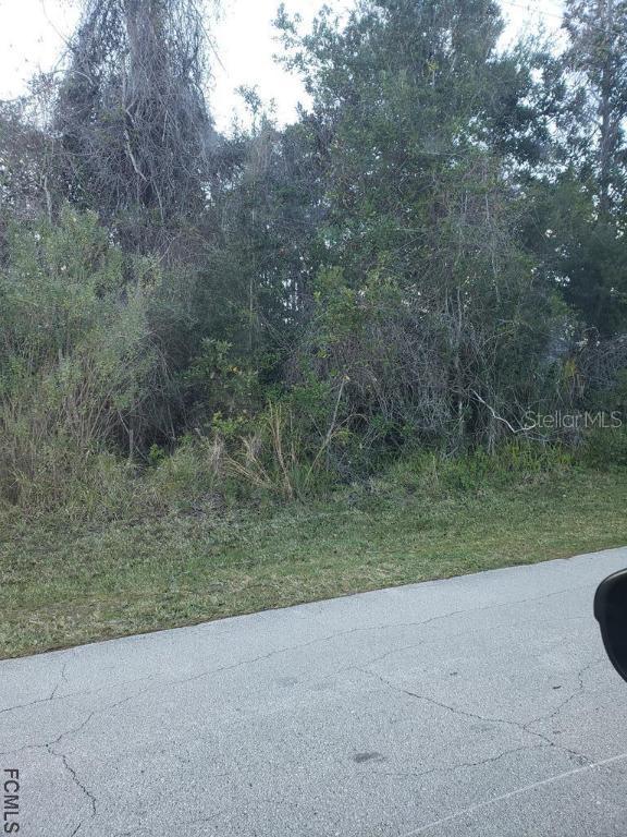 164 Frankford Ln., Palm Coast, FL 32137