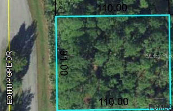 70 Edith Pope Dr., Palm Coast, FL 32164