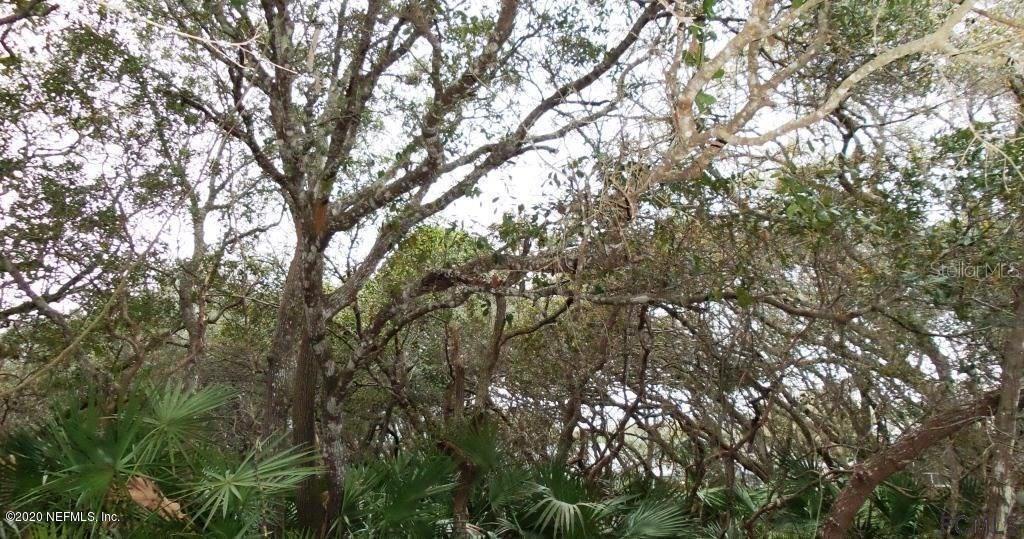 12 Ulmacea Pl., Palm Coast, FL 32137