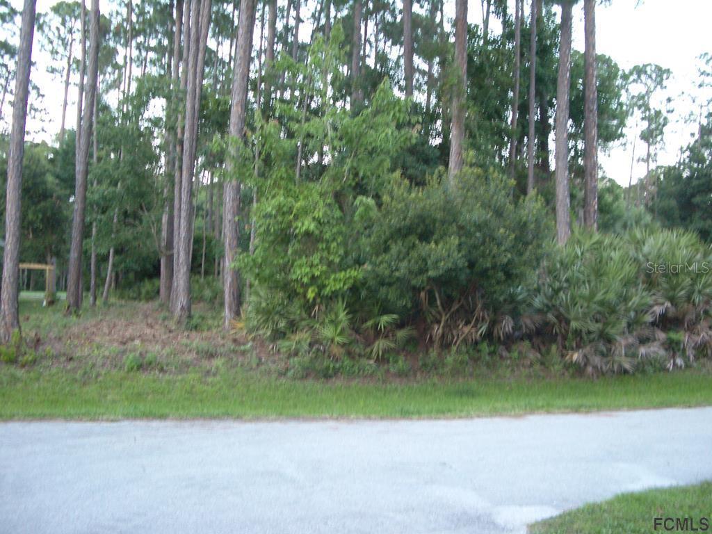 19 Kaufman Pl., Palm Coast, FL 32164