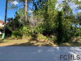 11 Prince Anthony Ln., Palm Coast, FL 32164