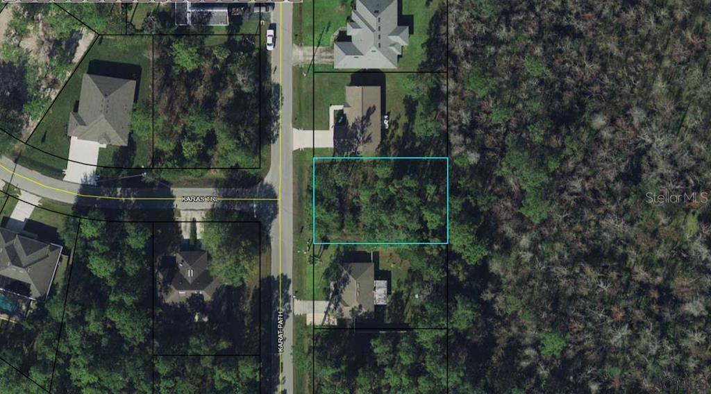 10 Karat Path, Palm Coast, FL 32164