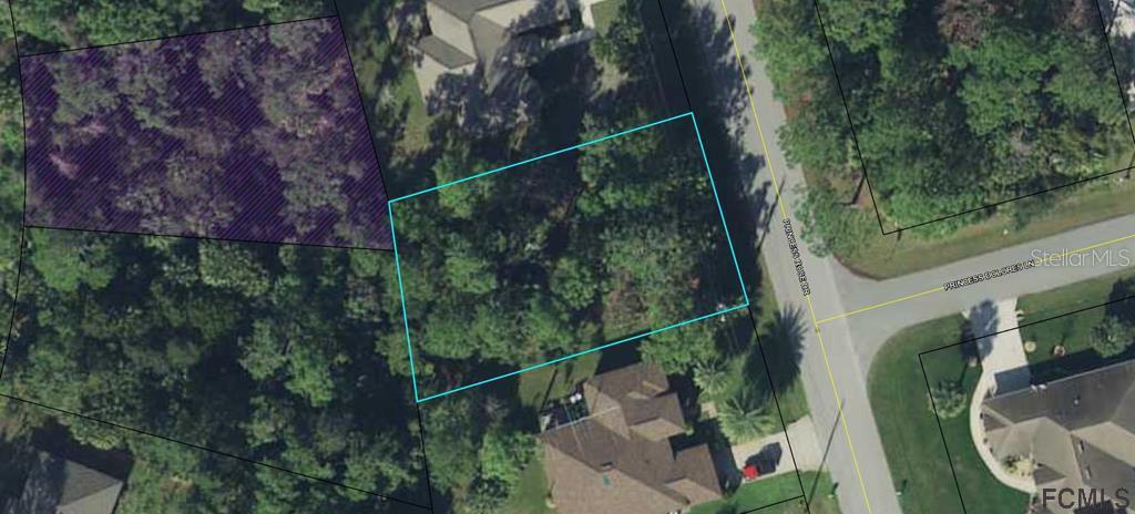 6 Princess Rose Dr., Palm Coast, FL 32164