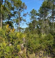 169 Ryberry Dr., Palm Coast, FL 32164