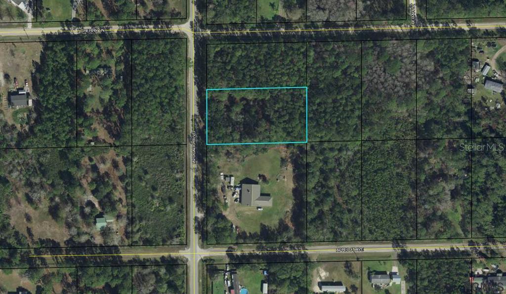 1279 Avocado Blvd., Bunnell, FL 32110