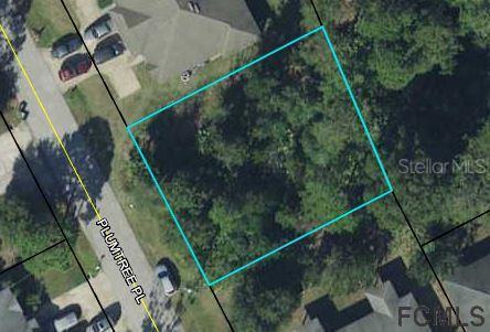 8 Plumtree Pl., Palm Coast, FL 32164