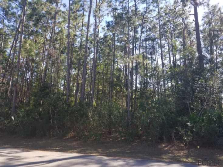 8 Raemond Ln., Palm Coast, FL 32164