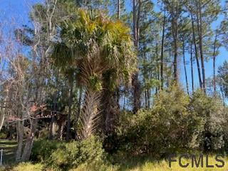 5 Fallon Ln., Palm Coast, FL 32137