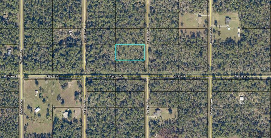 10165 Carpenter Ave., Hastings, FL 32145