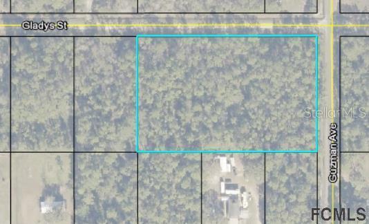 4305 Gladys St., Hastings, FL 32145