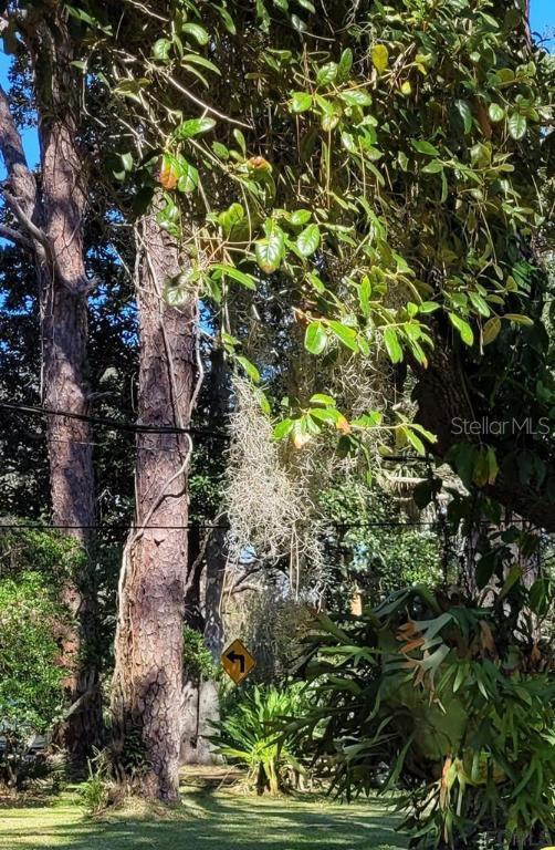 Prado Ave., St Augustine, FL 32084