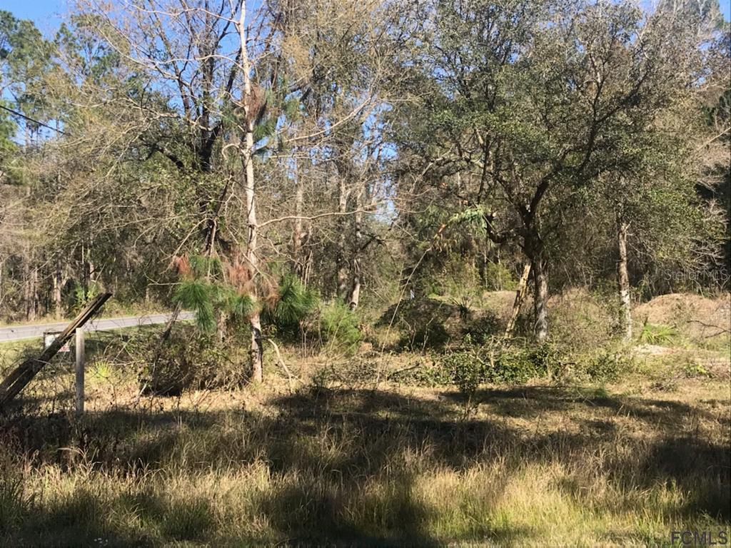 1513 Berrybush St., Bunnell, FL 32164