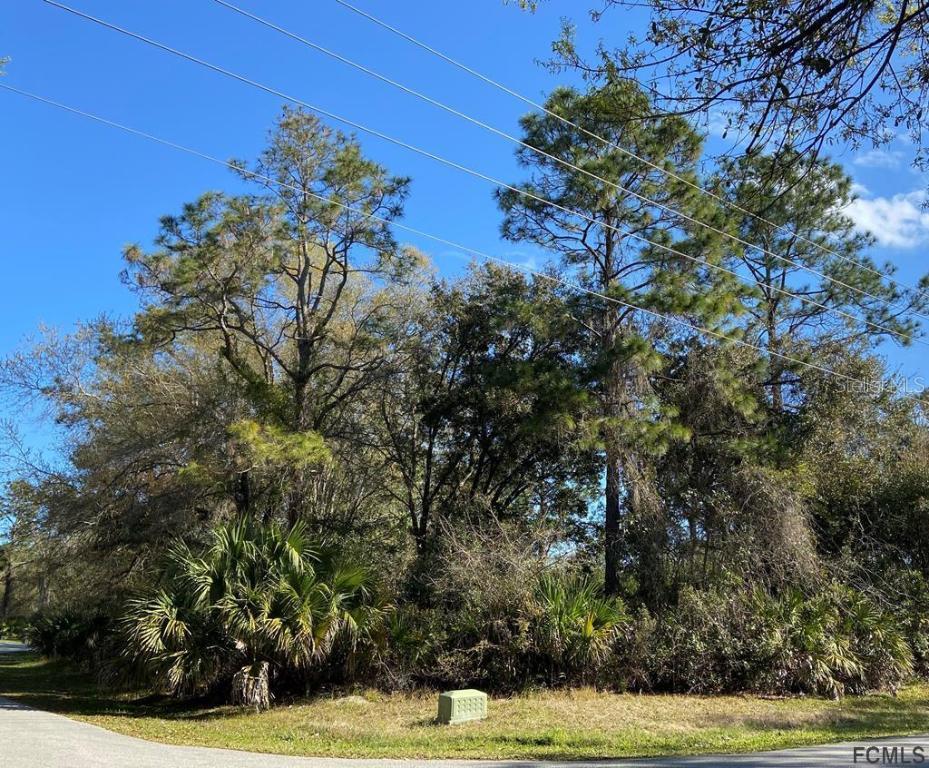 74 Whippoorwill Dr., Palm Coast, FL 32164