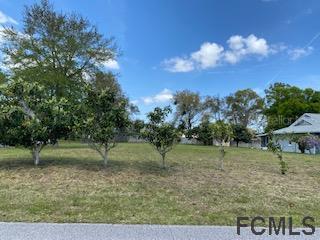 29 Fleetwood Dr., Palm Coast, FL 32137